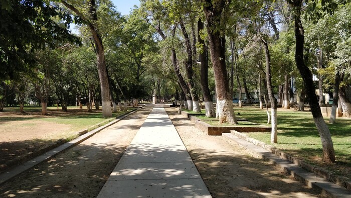 Llega picnic al bosque, con los Sabores de Morelia