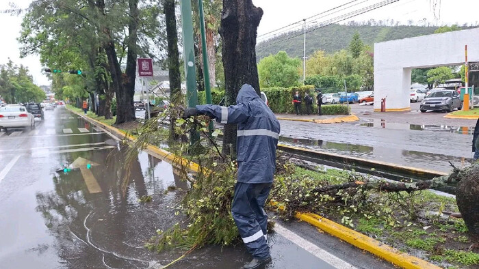 Lluvia arrastra más de 60 toneladas de basuras en Morelia en últimas 36 horas