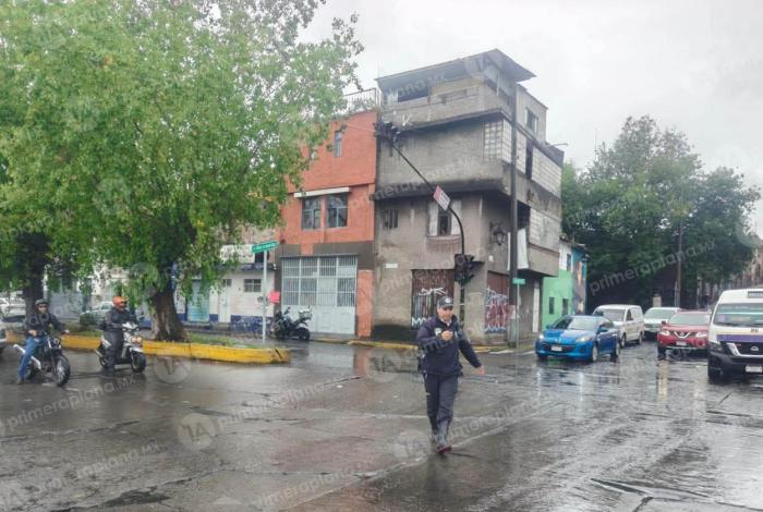 Lluvias de este miércoles dejan un árbol caído en Morelia