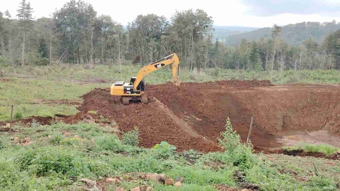 Los detienen en Pátzcuaro mientras realizaban delitos contra el medio ambiente