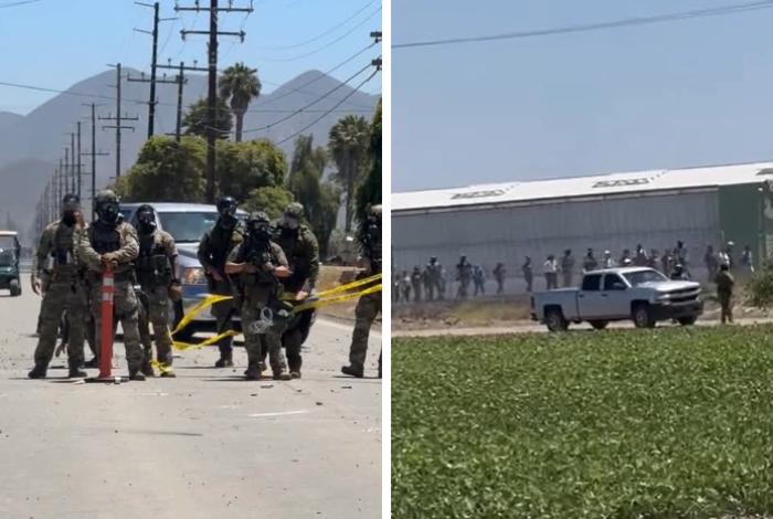 “Los migrantes no son criminales”: Sheinbaum tras redadas en campos de California