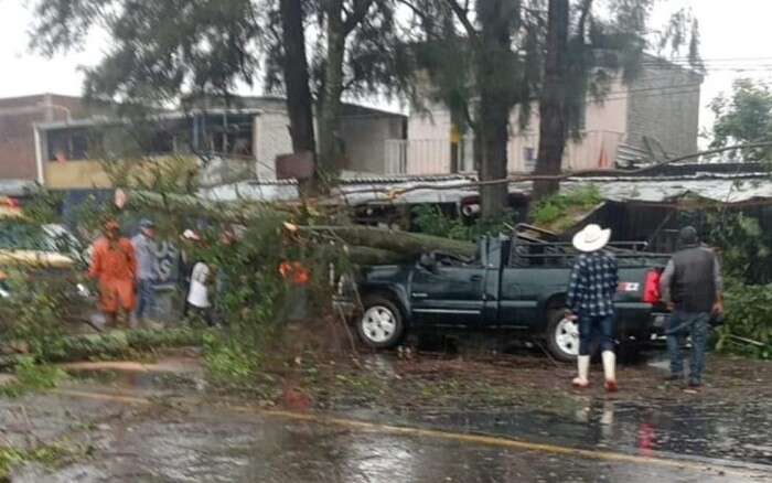 Los Reyes: Fuerte tormenta provoca la caída de dos árboles; uno de ellos sobre una camioneta