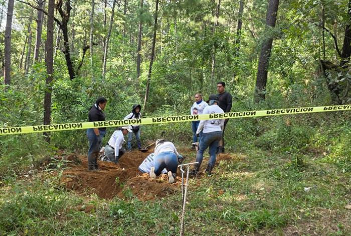 Madres Buscadoras hallan 4 cadáveres en predio familiar del diputado Carlos Alejandro Bautista Tafolla