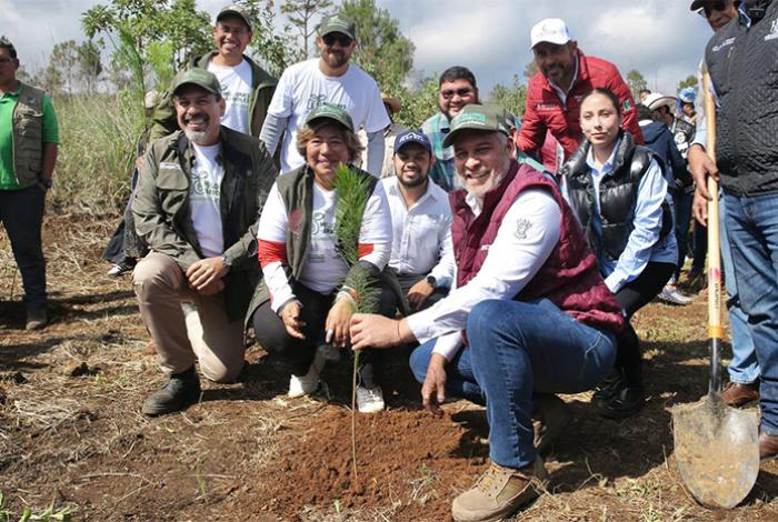 Mañana arranca reforestación de 32 mil árboles en la ruta del Morebús: Bedolla