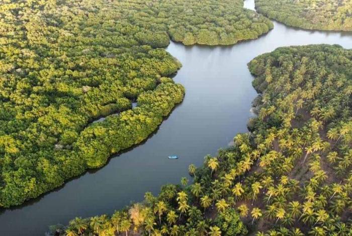 Manglares de Michoacán, más de 4 mil hectáreas de tesoro natural bajo protección: Secma