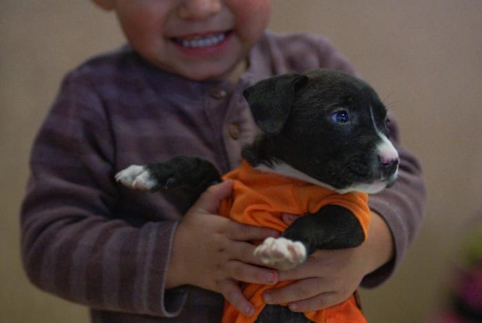 Mantas de Amor para Patitas Frías