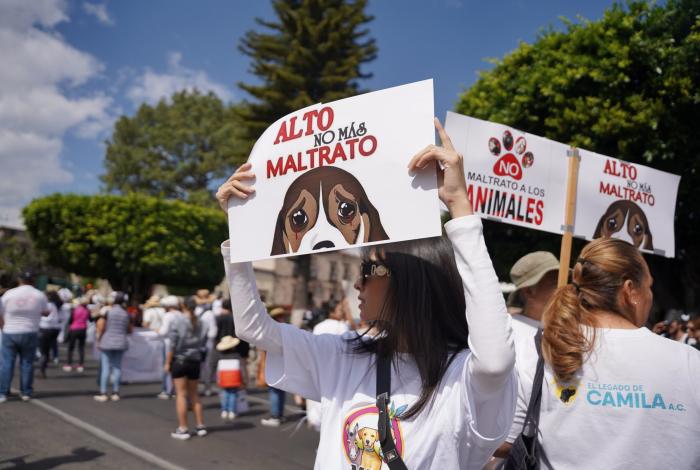 Marcharán animalistas en Michoacán