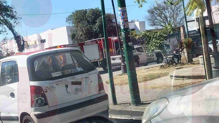 Más de 20 personas afectadas por picaduras de Abejas en Bosque Cuauhtémoc