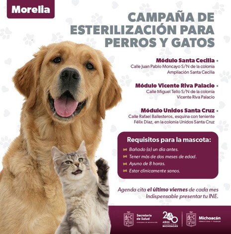 #Mascotas | SSM cuenta con 3 módulos de esterilización canina y felina en Morelia