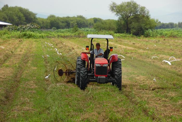 México, primer comprador agrícola de EUA, está bajo amenaza de aranceles: UNTA