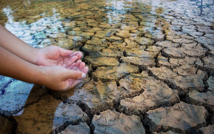 México se compromete a restaurar vastas áreas para garantizar el suministro de agua