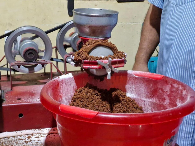 Michoacán avanza en producción de cacao: Sader