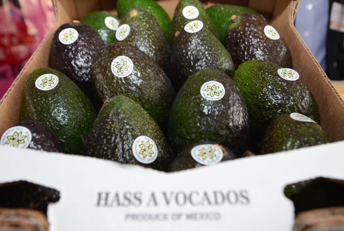 Michoacán continúa apuesta por reforzamiento de seguridad en franja aguacatera