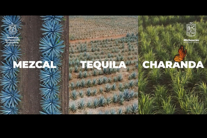 Michoacán, el único con tres denominaciones de origen en bebidas: charanda, mezcal y tequila