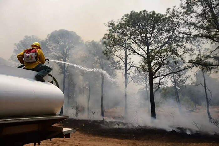 Michoacán, entre los cuatro estados con más incendios forestales en 2024