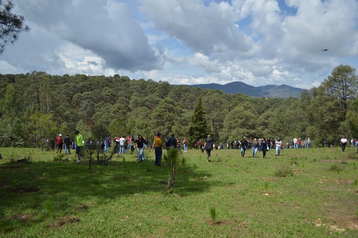 Michoacán lidera en tecnología ambiental con monitoreo satelital de bosques: Bedolla