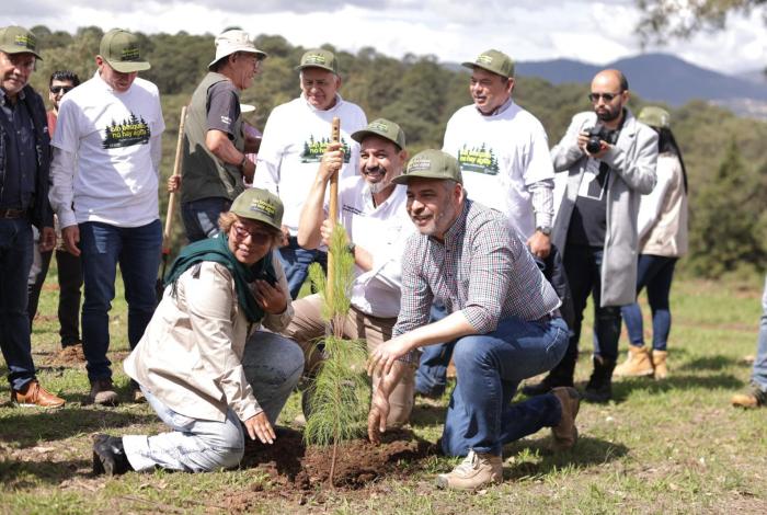Michoacán, listo para reforestar 17 mil has con 10.5 millones de árboles: Bedolla