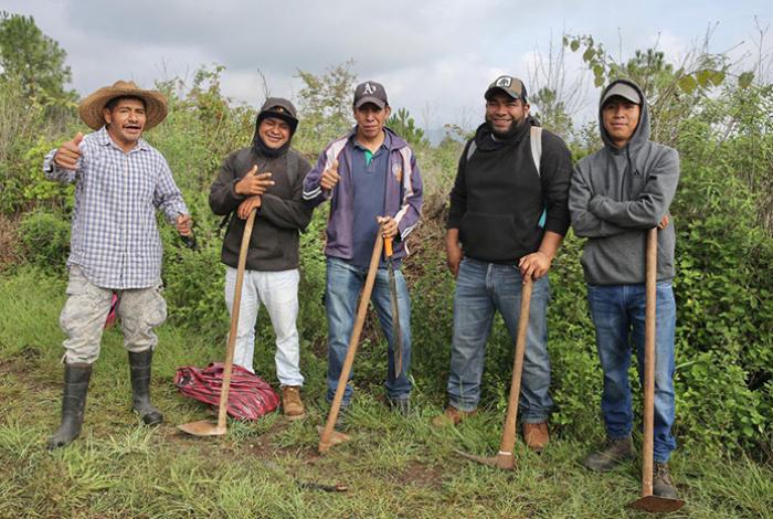 Michoacán reforestará la cuenca del lago de Pátzcuaro con 2.5 millones de árboles en 2026