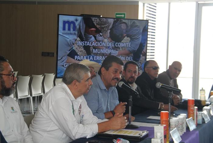 Michoacán suma 812 casos de gusano barrenador: 3 en humanos; instalan comité para erradicarlo