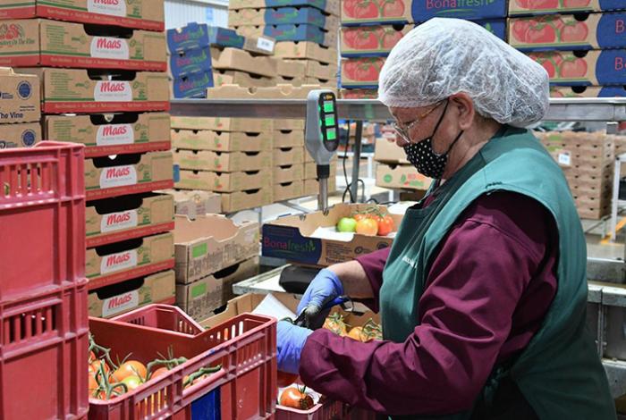 Michoacán superó la meta de 500 mil nuevos empleos formales en 2025: Sedeco