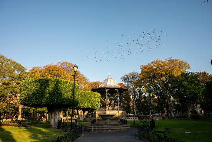 Michoacán tendrá frío de -5°C, con calor vespertino de hasta 40°C