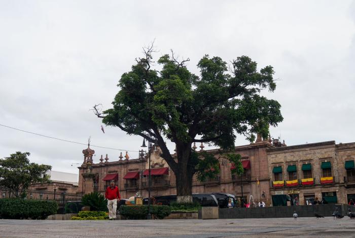 Michoacán tendrá un jueves templado, entre cielo nublado y lluvias