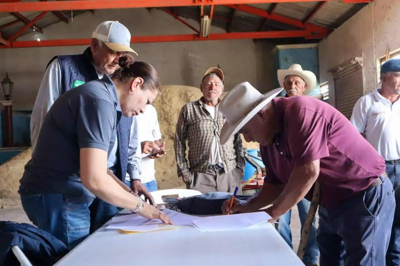 Mónica Valdez impulsa acciones para fortalecer la producción agrícola en Zacapu, entregan apoyos a productores