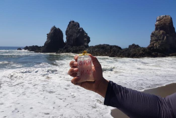 Monitoreo sanitario permanente en playas de Michoacán durante vacaciones