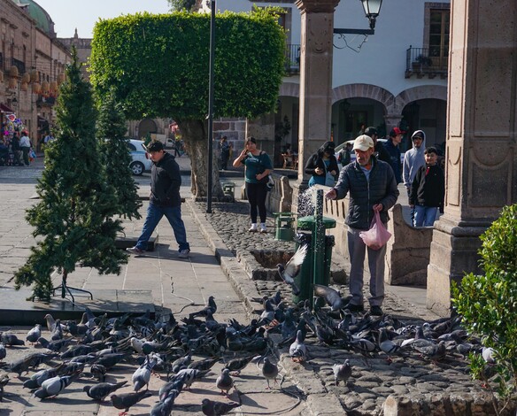 Morelia, con clima fresco a templado esta semana: SMN