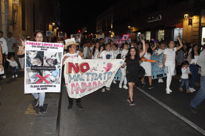 Morelia marcha para exigir medidas ante la impunidad por maltrato animal