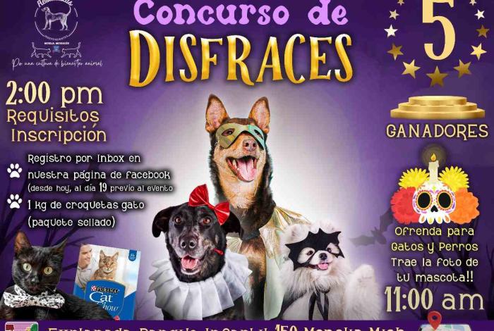 Morelia se llenará de huellitas fantasmales: Rescatistas Independientes convocan a concurso de disfraces canino