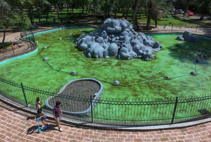 Morelia: vuelven patos a su hogar en el bosque Cuauhtémoc