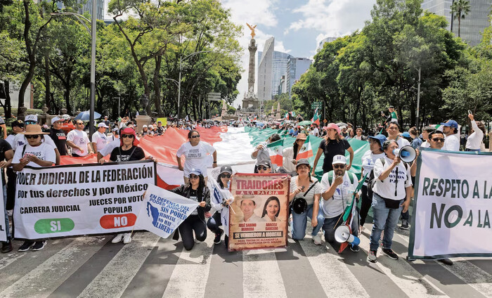 Movimiento antirreforma pone lupa a 43 senadores