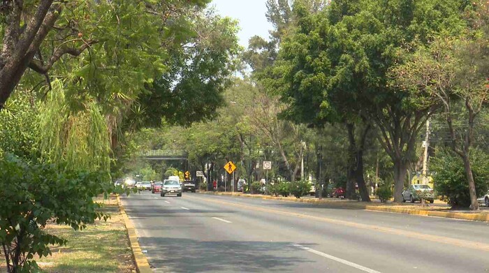 Muchos asaltos en Avenida Camelinas, denuncian vecinos