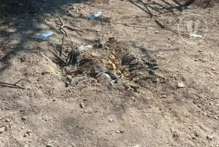 Mueren dos jornaleros tras explosión de presunta mina terrestre en Apatzingán