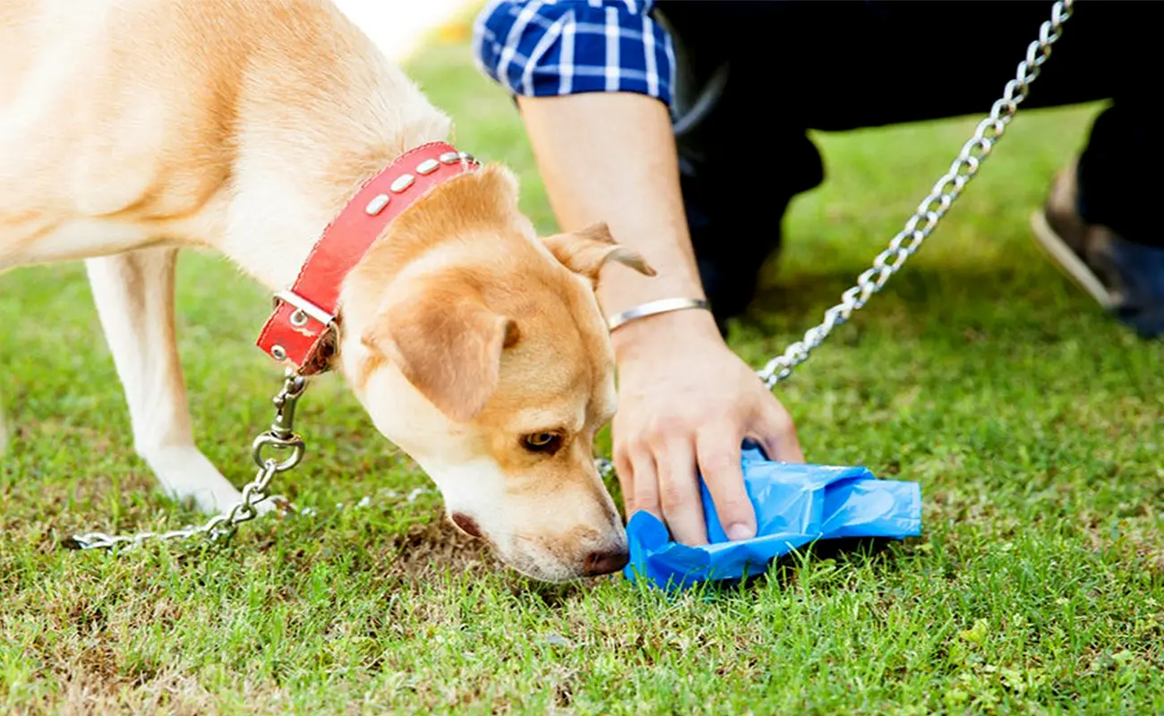 Mujer resulta macheteada luego de que su perro hiciera sus necesidades en puerta de vecina