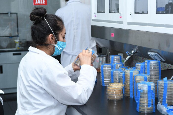 Mujeres alcanzan equidad histórica en la participación de la economía local