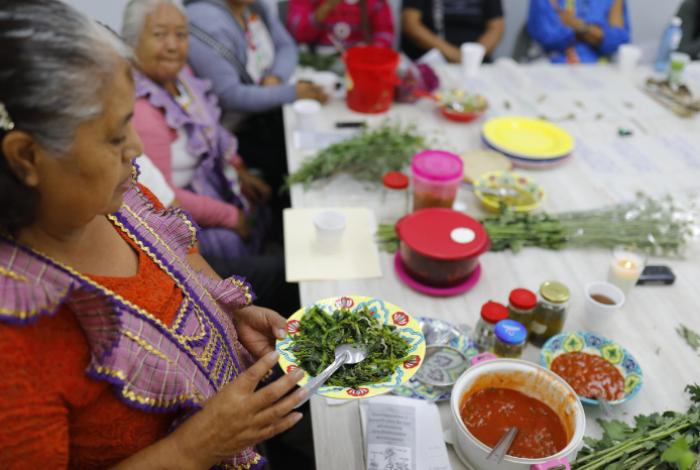 Mujeres indígenas en México rescatan la medicina y alimentación tradicional para combatir enfermedades crónicas