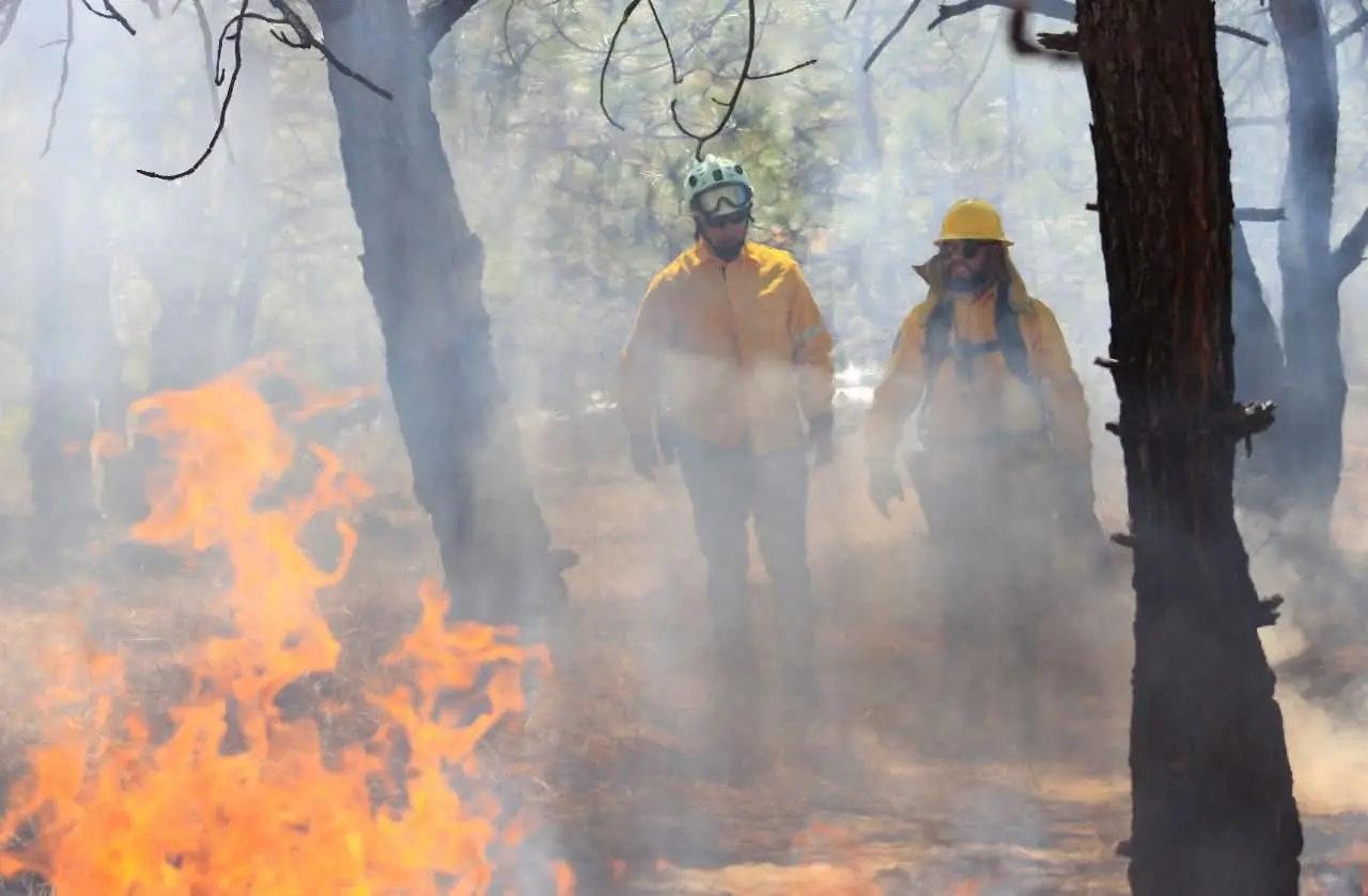 MUNICIPIOS DE ARIO Y NUEVO URECHO, ASÍ COMO EL GOBIERNO DE MICHOACÁN TRABAJAN COORDINADAMENTE PARA SOFOCAR INCENDIO EN BOSQUES