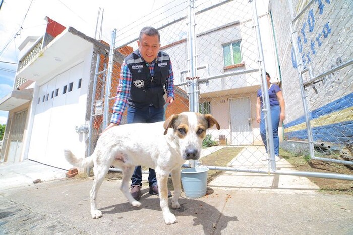 No existen los perros de la calle existen dueños irresponsables: Barragán