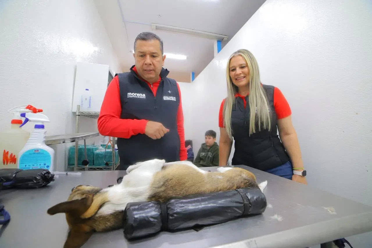 No existen perros de la calle, sino dueños irresponsables: JC Barragán