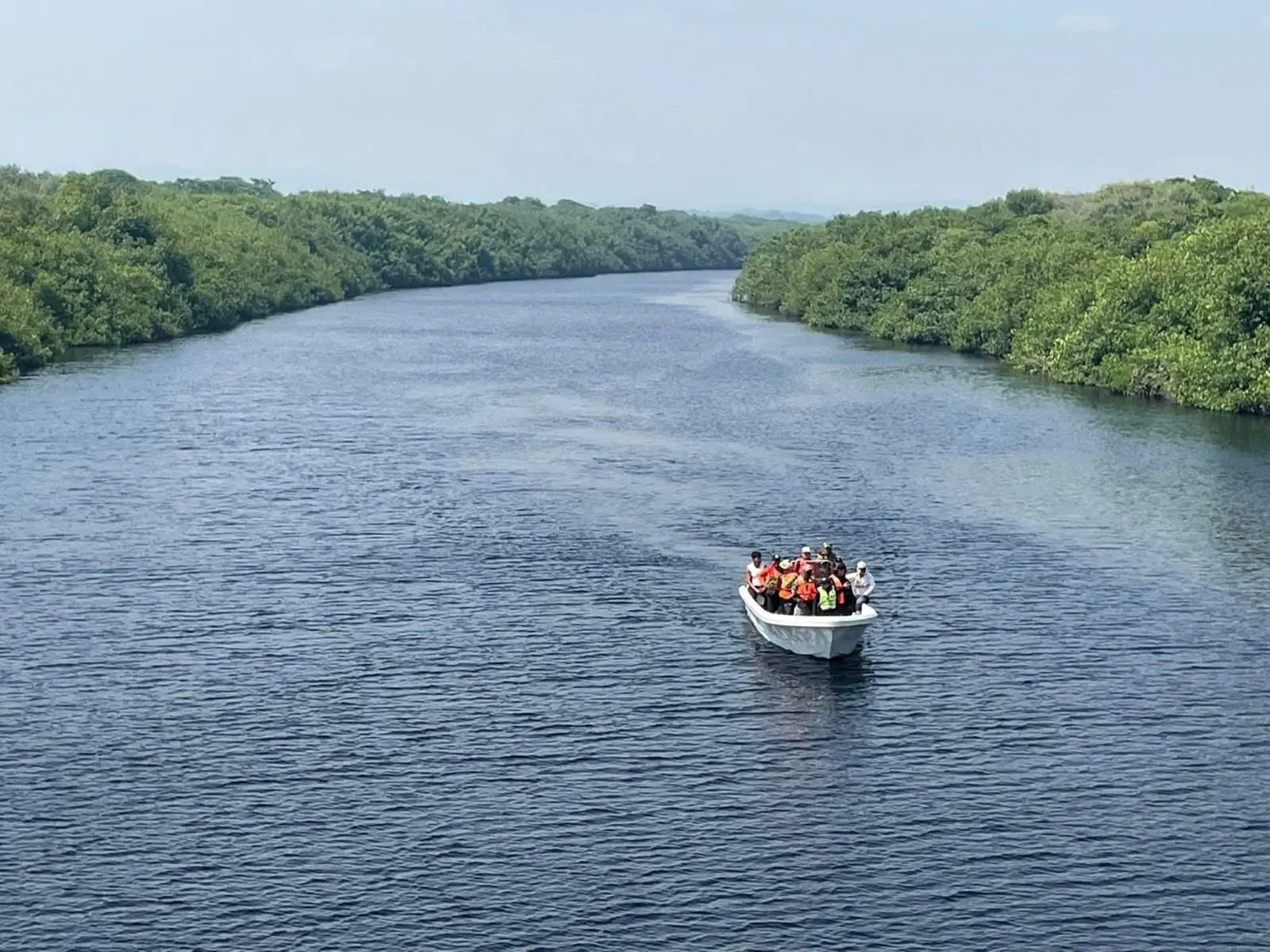 No pierden esperanzas