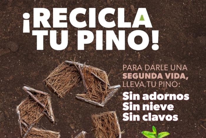 ¡No tires tu arbolito de Navidad! Únete a la campaña de reciclaje de la Cofom