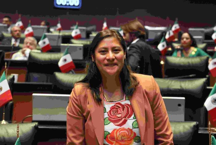 Nueva integración del Poder Judicial representa un cambio histórico para México: Celeste Ascencio