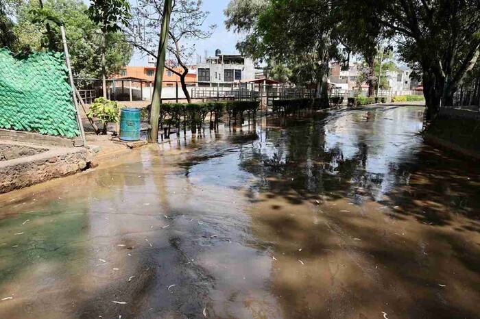 OOAPAS quiere deslindarse de inundación en el Zoo, pero ellos derramaron lodos tóxicos: director del parque