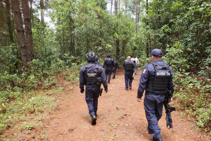 Operativo en Villa Madero, Pátzcuaro, Hidalgo y Salvador Escalante contra tala ilegal
