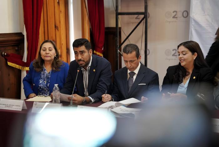 PAN no ha definido si actuará para tratar de echar abajo la desincorporación