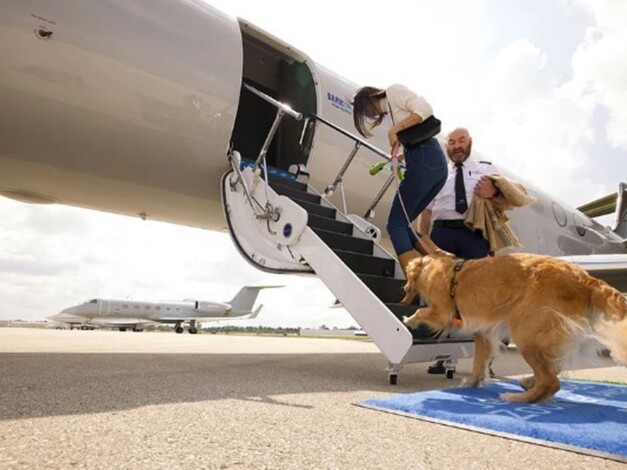 ¡Para creer! Inaugurarán aerolínea exclusiva para perros