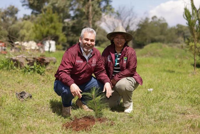 Para cuencas de ríos y lagos, 4 de cada 10 árboles plantados: Bedolla