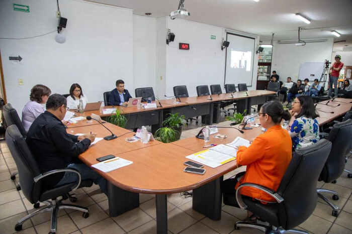 Para elección del Poder Judicial de Michoacán, cinco candidatos aparecerán con sobrenombres